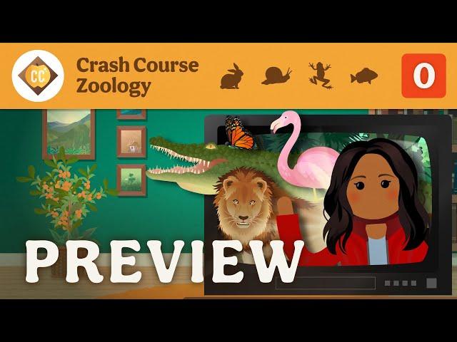  Crash Course Zoology Preview