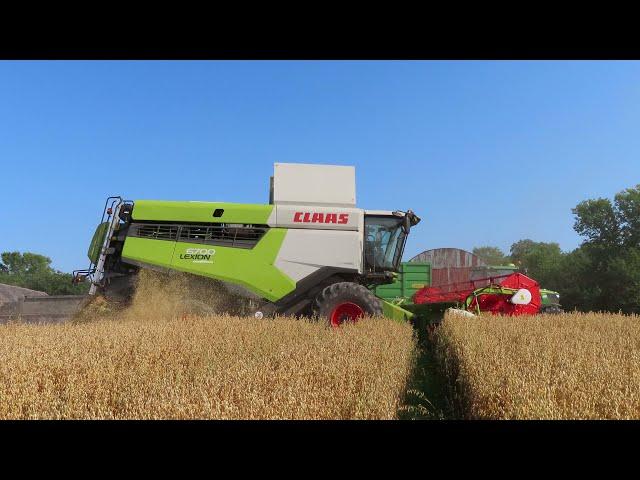 harvest 21! claas lexion 6700