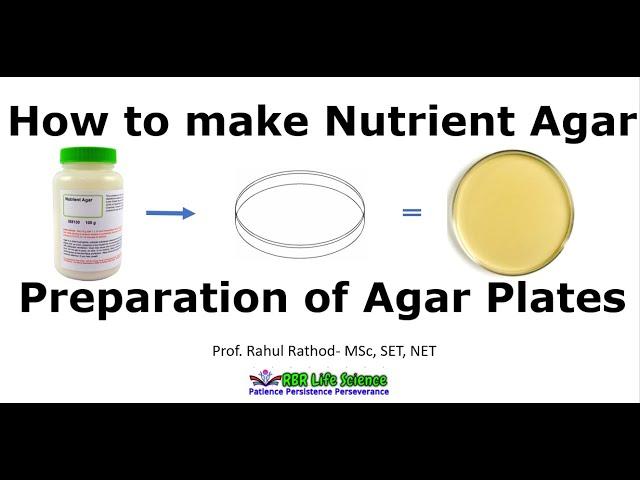 Preparation of nutrient agar plates l How to make agar plate