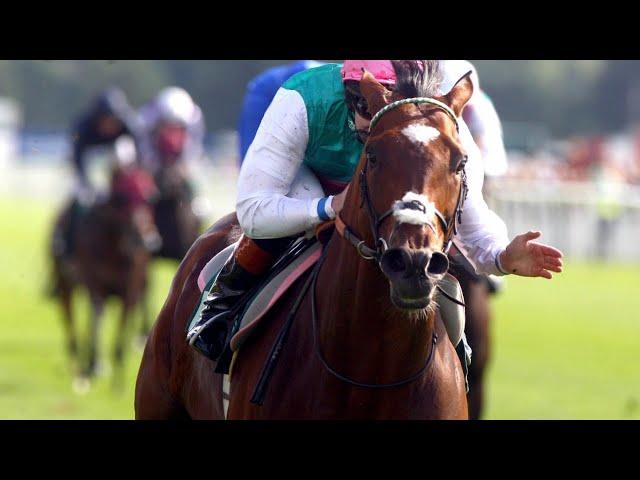 Frankel documentary: The horse of the century