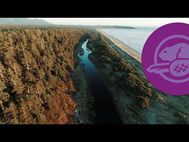 Salmon stream restoration at Pacific Rim National Park Reserve