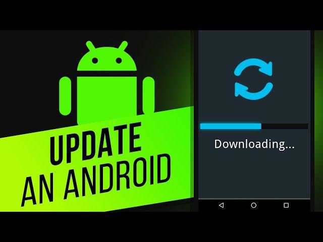 How to Update an Android Device | How to Update to the Current Android OS