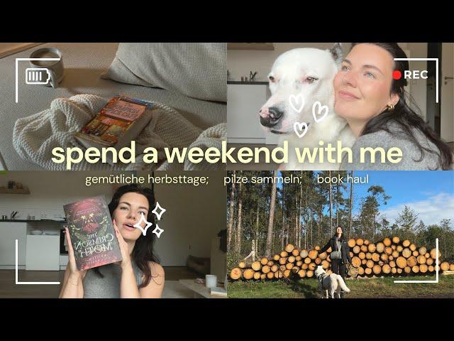 vlog: gemütliche Herbsttage, Pilze sammeln, book haul 