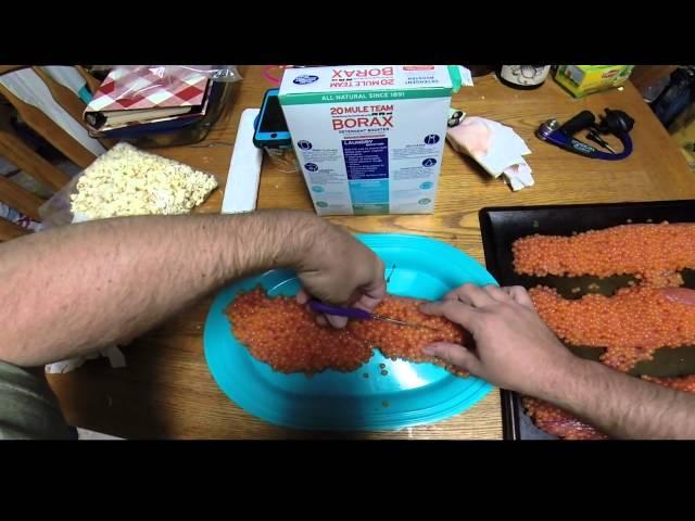 Borax Salmon Egg Curing video