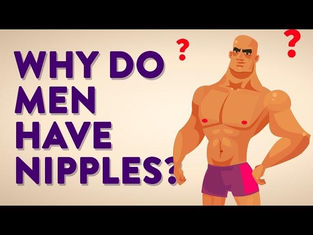 Why Do Men Have Nipples? Can Men Breastfeed and Who Are The Milkmen?