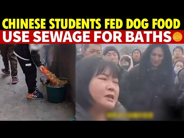 Chinese Students Fed Dog Food Daily, Bathed in Sewage, Compete for Manure Jobs Post-graduation