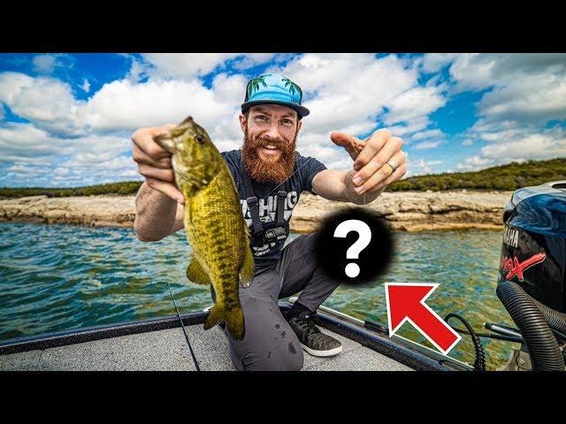 NEW FAVORITE FISHING LURE SLAYS in Austin TX  feat. Justin Royal on Lake Travis