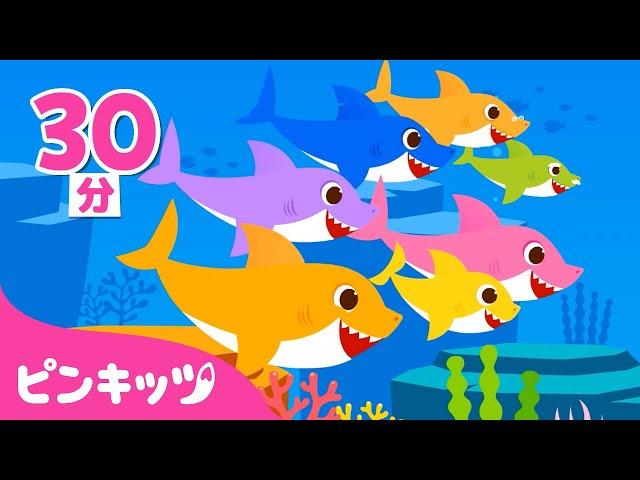 もっともっと サメのかぞく＆人気曲メドレー | Baby Shark More And More | 子どもの歌 | ピンキッツ! 童謡と子どもの動画