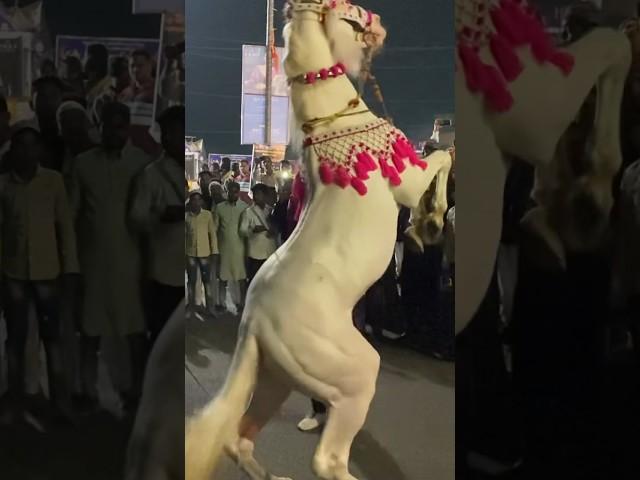 Ha Mein alamdar #nadeemsarwar #nohay #noha #muharram #moharram #azadar #shorts #shortvideo