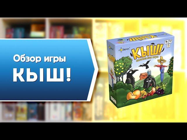 КЫШ! Обзор и правила настольной игры от Эврикус