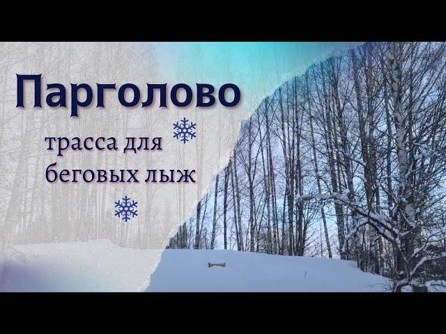 Обзор трассы для беговых лыж в Парголово ("Парголовская лыжня")