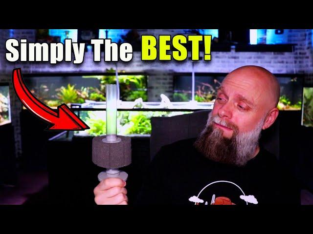 Simply The Best Sponge Filter! ATI Hydro Sponge Filter Review