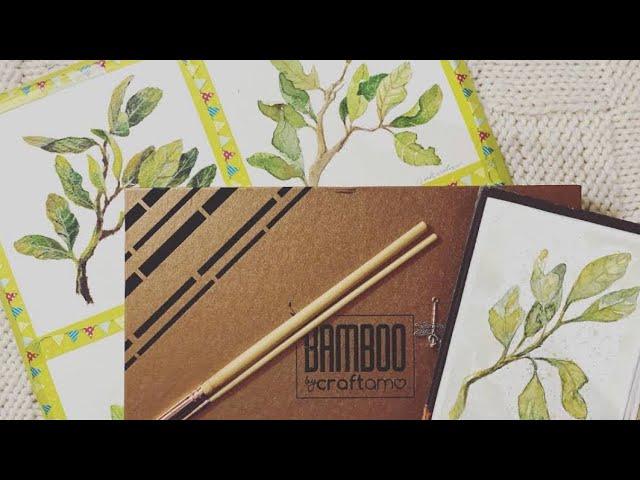 Craftamo brush set review and paint along with me tutorial