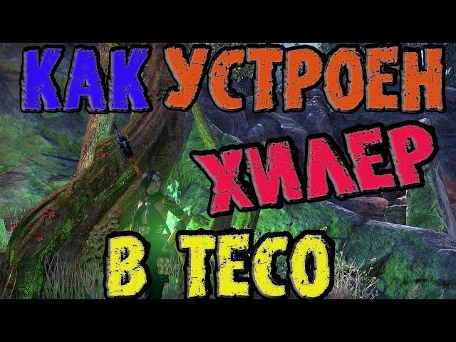 The Elder Scrolls Online: Как устроен хилер в ТЕСО (TESO)