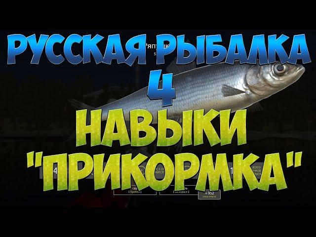 Русская Рыбалка 4: В помощь новичку/Навыки/Прикормка