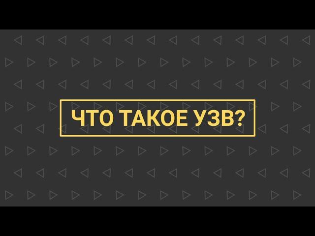 УЗВ КАК БИЗНЕС №1 | Что такое УЗВ?