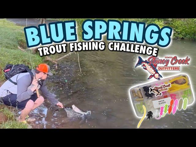 BLUE SPRINGS Trout Fishing Limit CHALLENGE w/ Stoney Creek Outfitters Native Slayers Kit