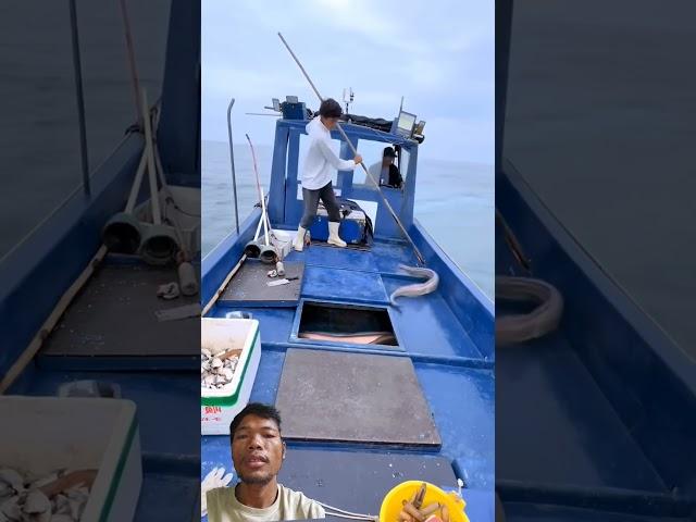 #fishing #fish #automobile #ocean #respect #dance #lifeisbutadream