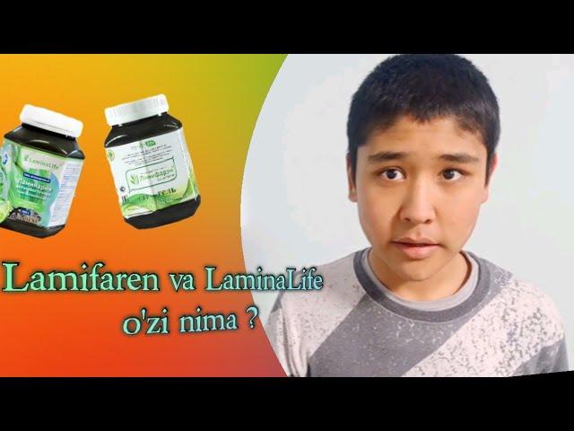 Lamifaran and LaminaLife! A purely biological product, seaweed as a meat substitute?