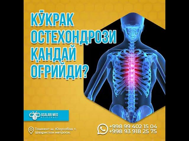 КЎКРАК ОСТЕОХОНДРОЗИ ҚАНДАЙ ОҒРИЙДИ? #saidatabiba  #asalarimed #osteochondrosis