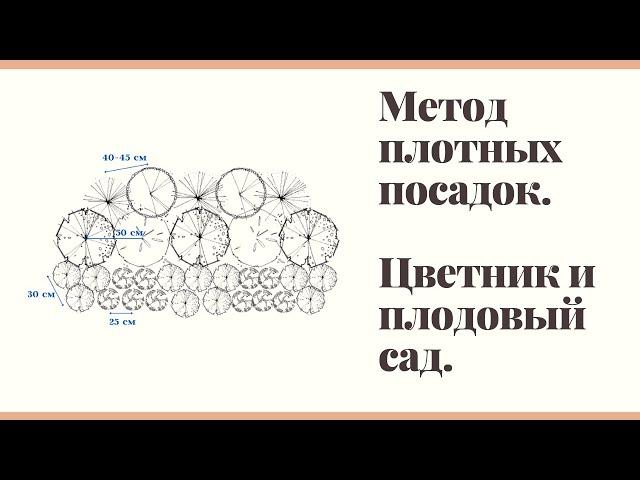 Метод плотных посадок в цветниках и плодовом саду.