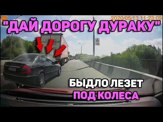 Автоподборка "Дай Дорогу Дураку"Быдло лезет под колеса#126