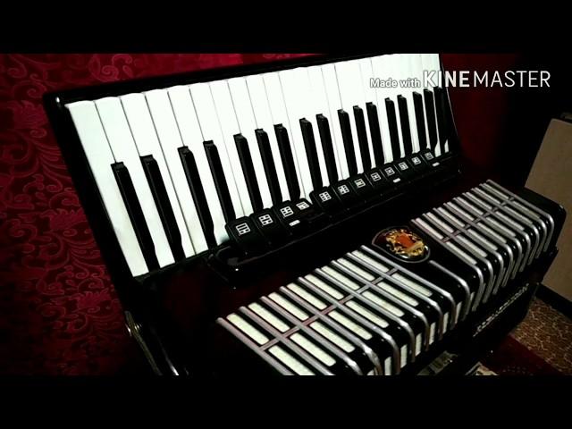 Imagine Dragons - Believer (Cover accordion) Кавер на аккордеоне