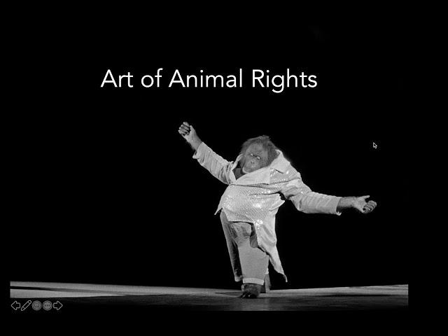 art of animal rights