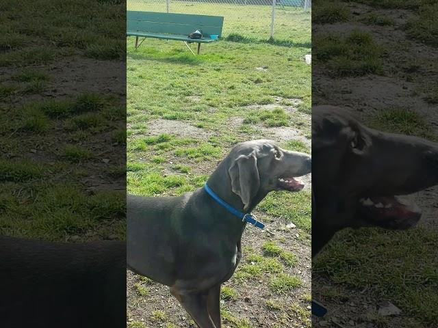 Running with a Weim speed