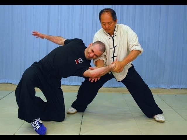 Tai Chi Fighting! Taijiquan Martial Applications (Yang-style 37-postures) YMAA