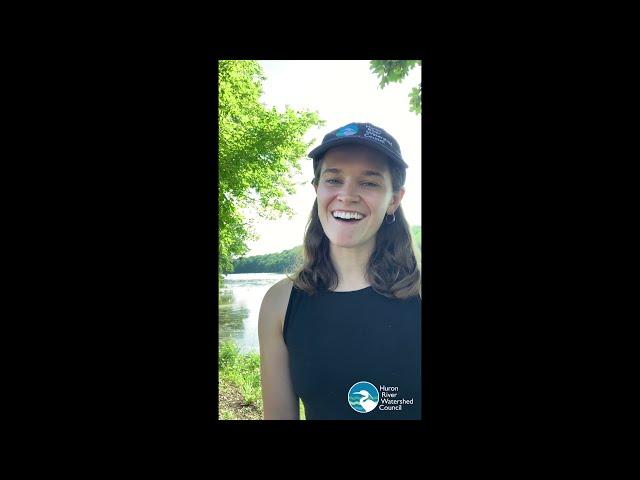Is it safe to swim in the Huron River?