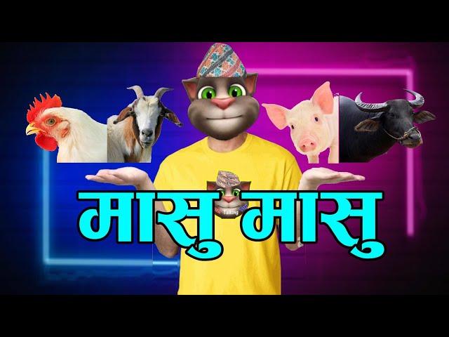 MASU MASU (मासु मासु) Comedy Video - Nepali Talking Tom