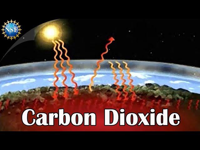 What is Carbon Dioxide?