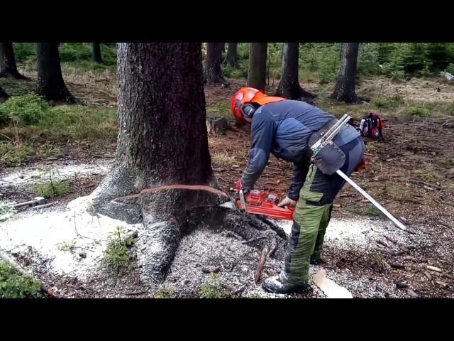 Garden and Forest Original YouTube Video - Chainsaw Husqvarna 562 XP