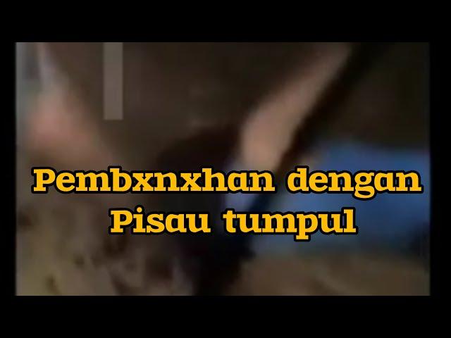 3ksekus1 pencuri sapi yang lagi viral