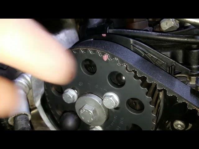 Как правильно установить ремень ГРМ .Timing chain replacement.  WV Caddy III 1.6 TDi