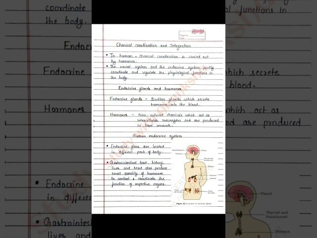 Class 11 Biology | Chemical coordination and integration handwritten notes | NCERT | CBSE | NEET JEE