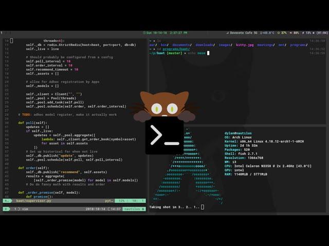 Kitty - Fast, Featureful, GPU Based Linux Terminal Emulator