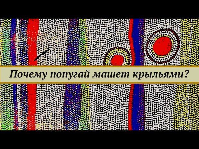 Почему попугай машет крыльями? Сравнение разных видов движения попугая на примере жако.