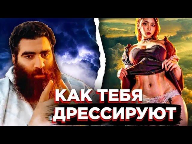 ТЕБЯ ДРЕССИРУЮТ | АРСЕН МАРКАРЯН