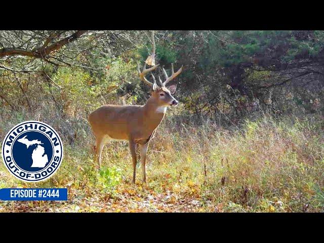 Bow Hunting, Gun Hunting, Bragging Board; Michigan Out of Doors TV #2444