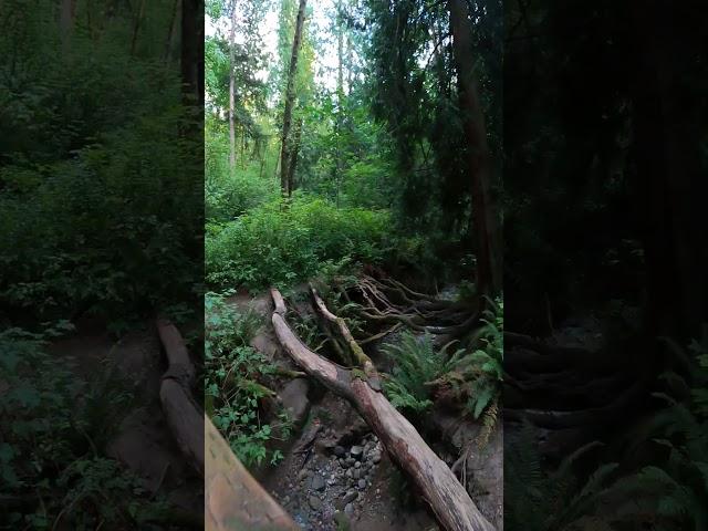 Big Gulch Park bridge