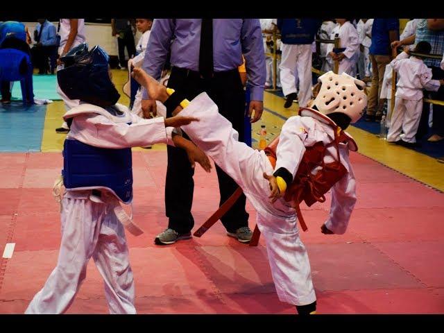 Mejores Knock out deTaekwondo infantiles