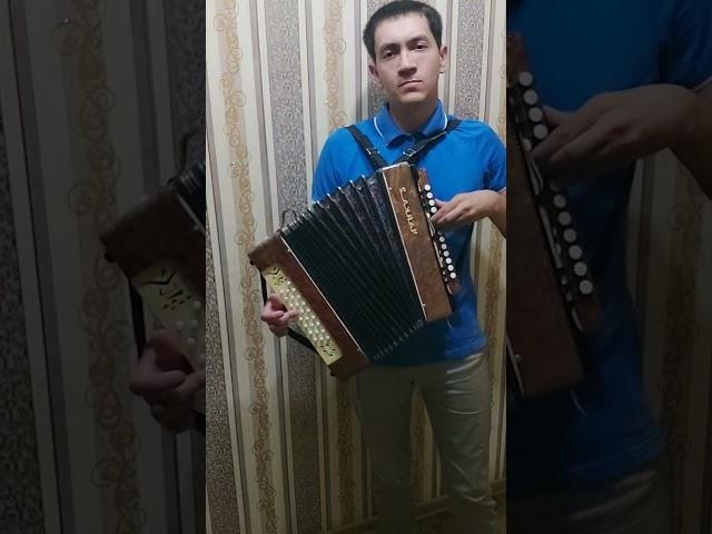 Now we are free (на гармошке)