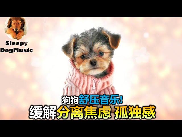 Dog MusicRelaxing Sleep Music for DogsSeparation anxiety reliefDog Calming Music