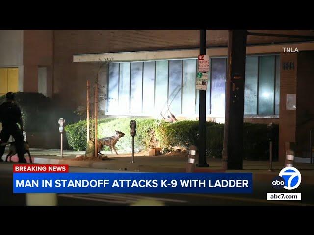 Suspect attacks LAPD K-9 with ladder during hours-long standoff