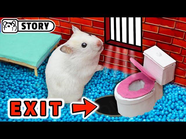  Hamster escapes the Amazing Prison Maze  Homura Ham