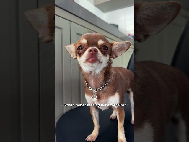 QUANDO SEU FILHO FAZ PERGUNTAS DIFÍCEIS