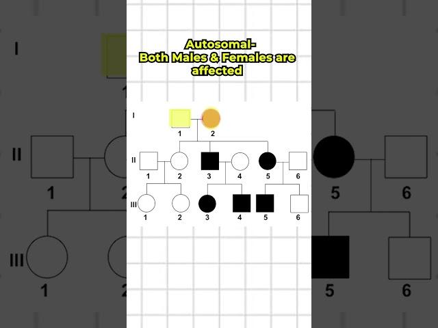 Fastest way to Solve Pedigree Analysis #neet #biology #shorts