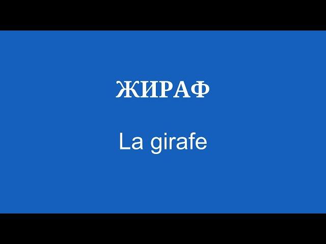 Словарный запас о животных Изучайте французский язык